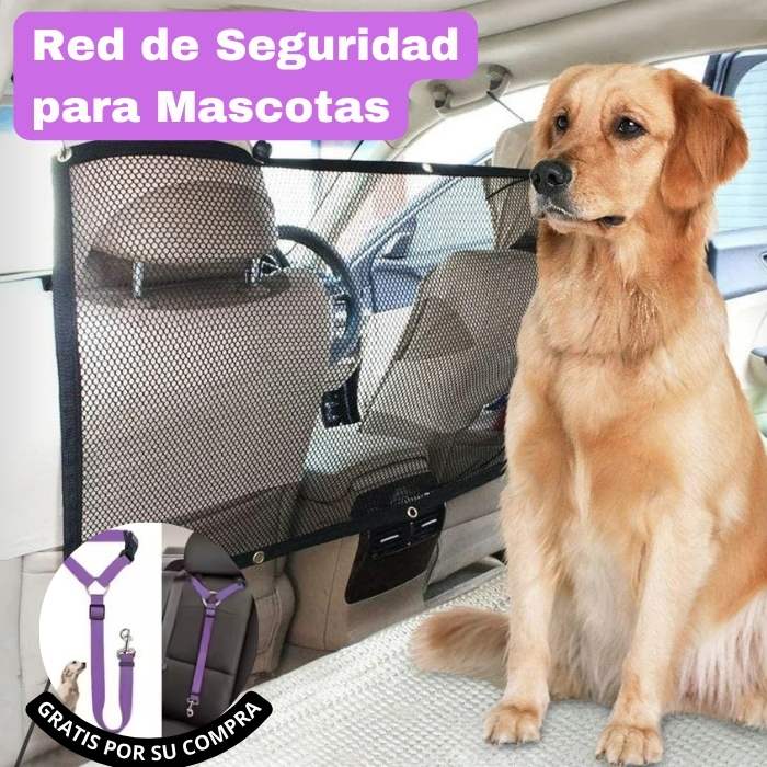 Red para Mascota + Correa